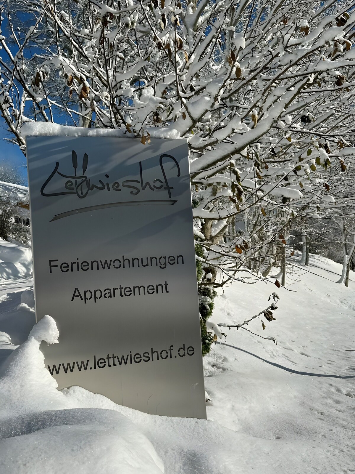 3 Naturappartement 5